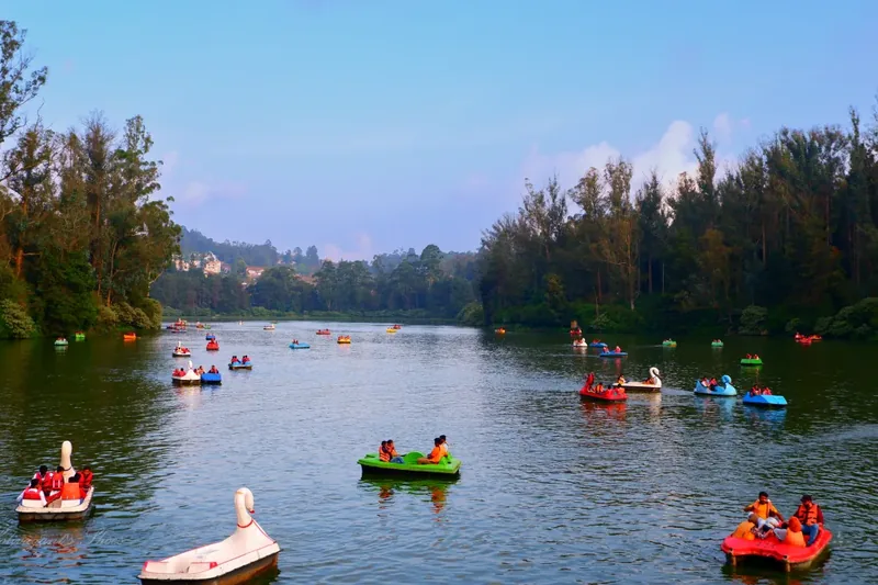 Pedal boats on the lake at the Boat House
