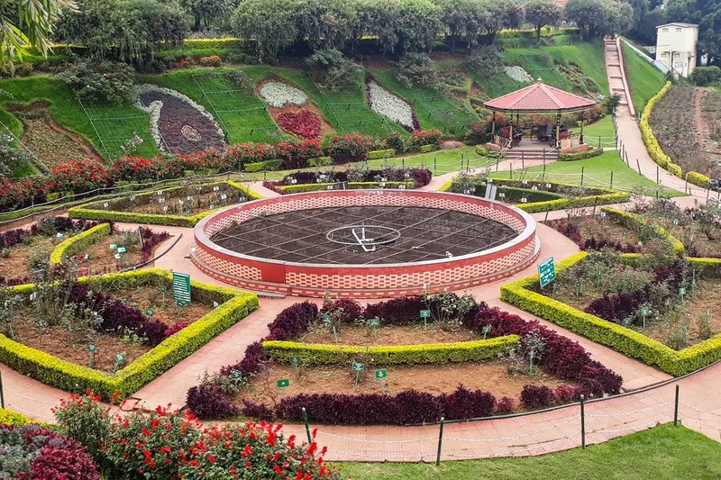 Terraced rose beds at the Rose Garden, Ooty
